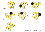wiki:donuts:fall2015:triangle-man-solution.gif